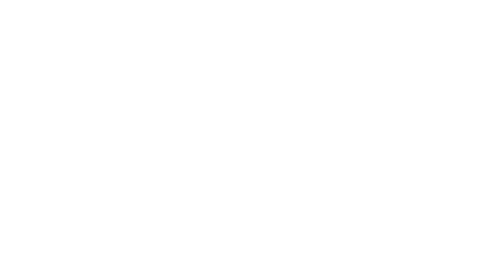 DS Company